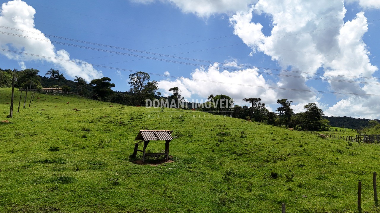 Terreno à venda - Foto 35