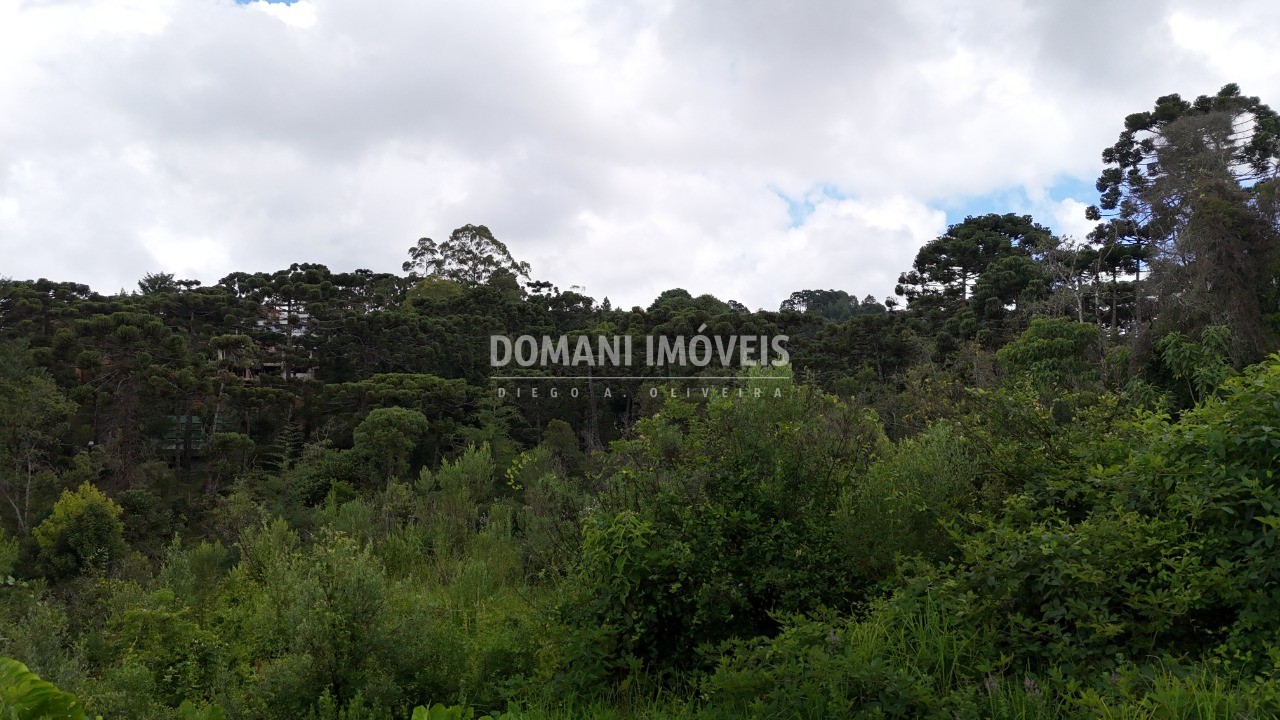 Terreno, 1590 m² - Foto 10