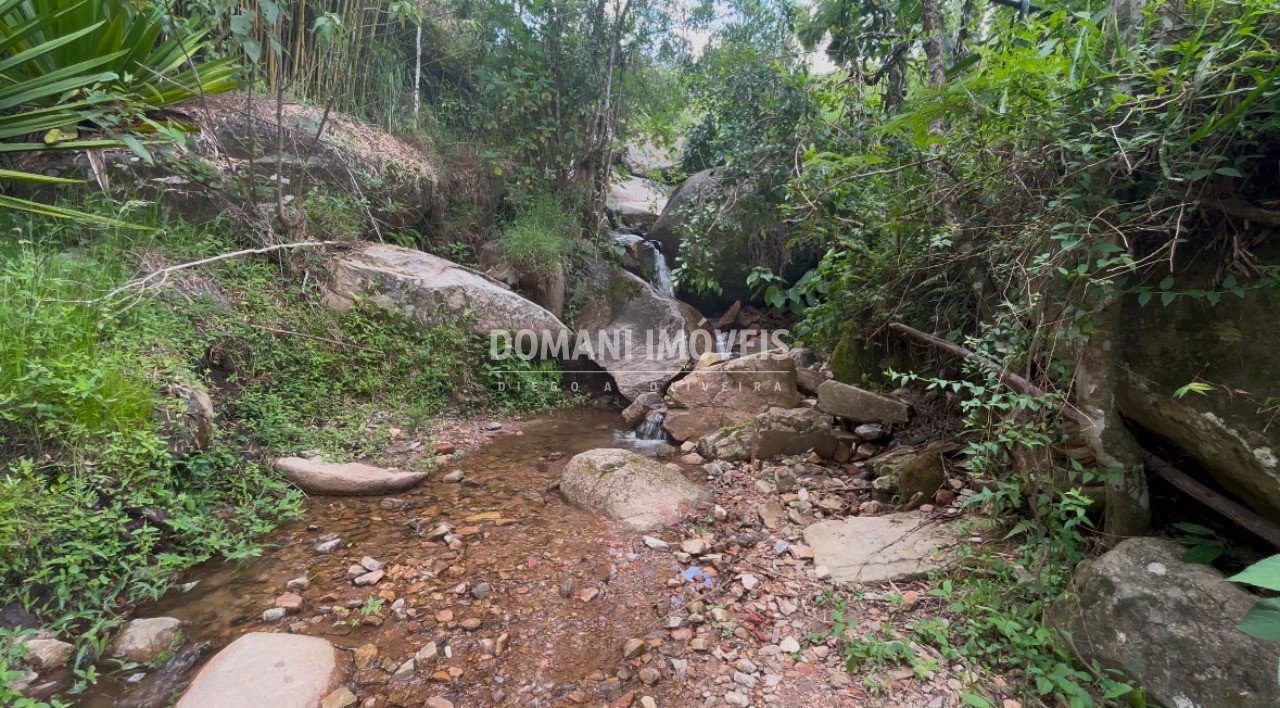 Terreno à venda - Foto 4