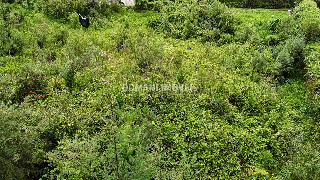 Terreno, 1590 m² - Foto 5
