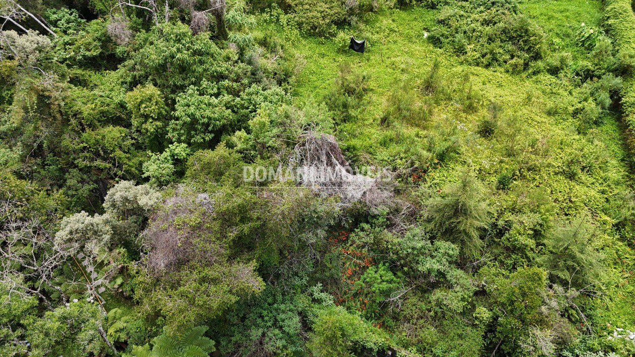 Terreno, 1590 m² - Foto 8