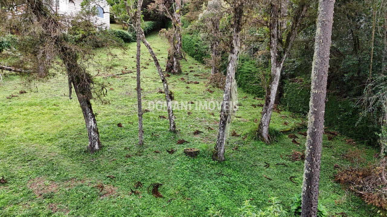 Terreno, 1065 m² - Foto 3