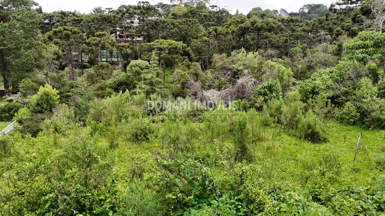 Terreno, 1590 m² - Foto 14
