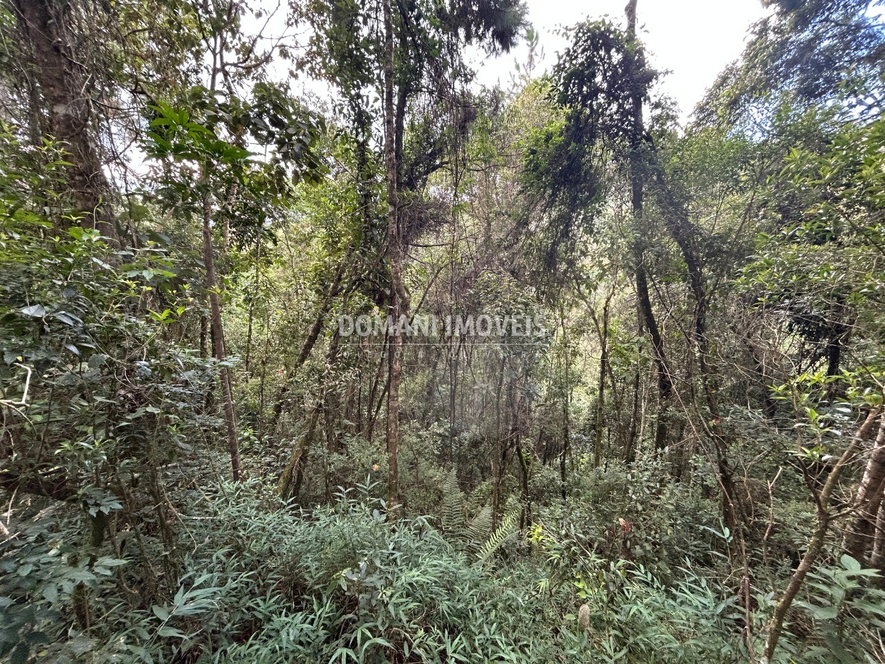 Terreno, 5820 m² - Foto 4