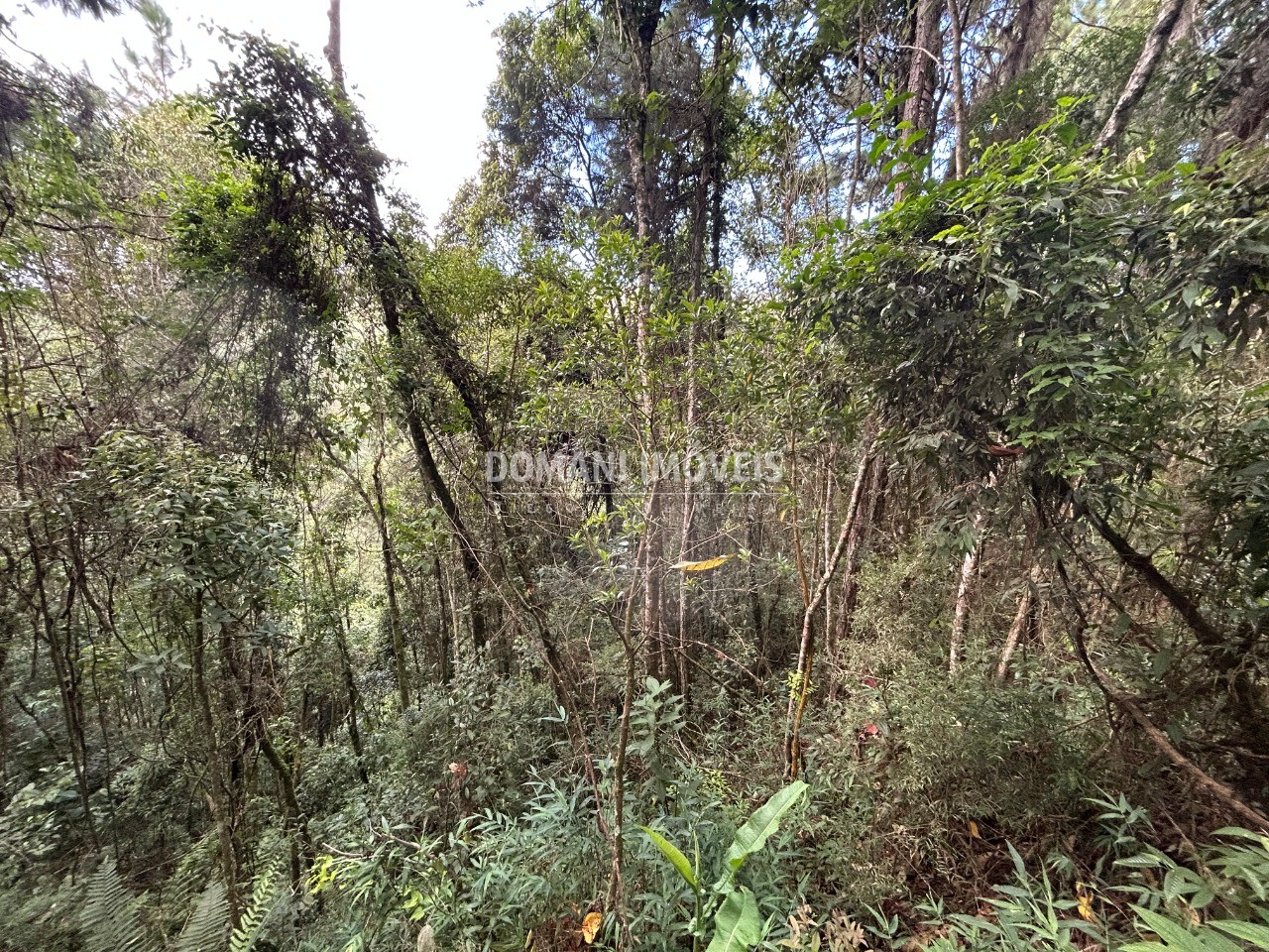 Terreno, 5820 m² - Foto 8