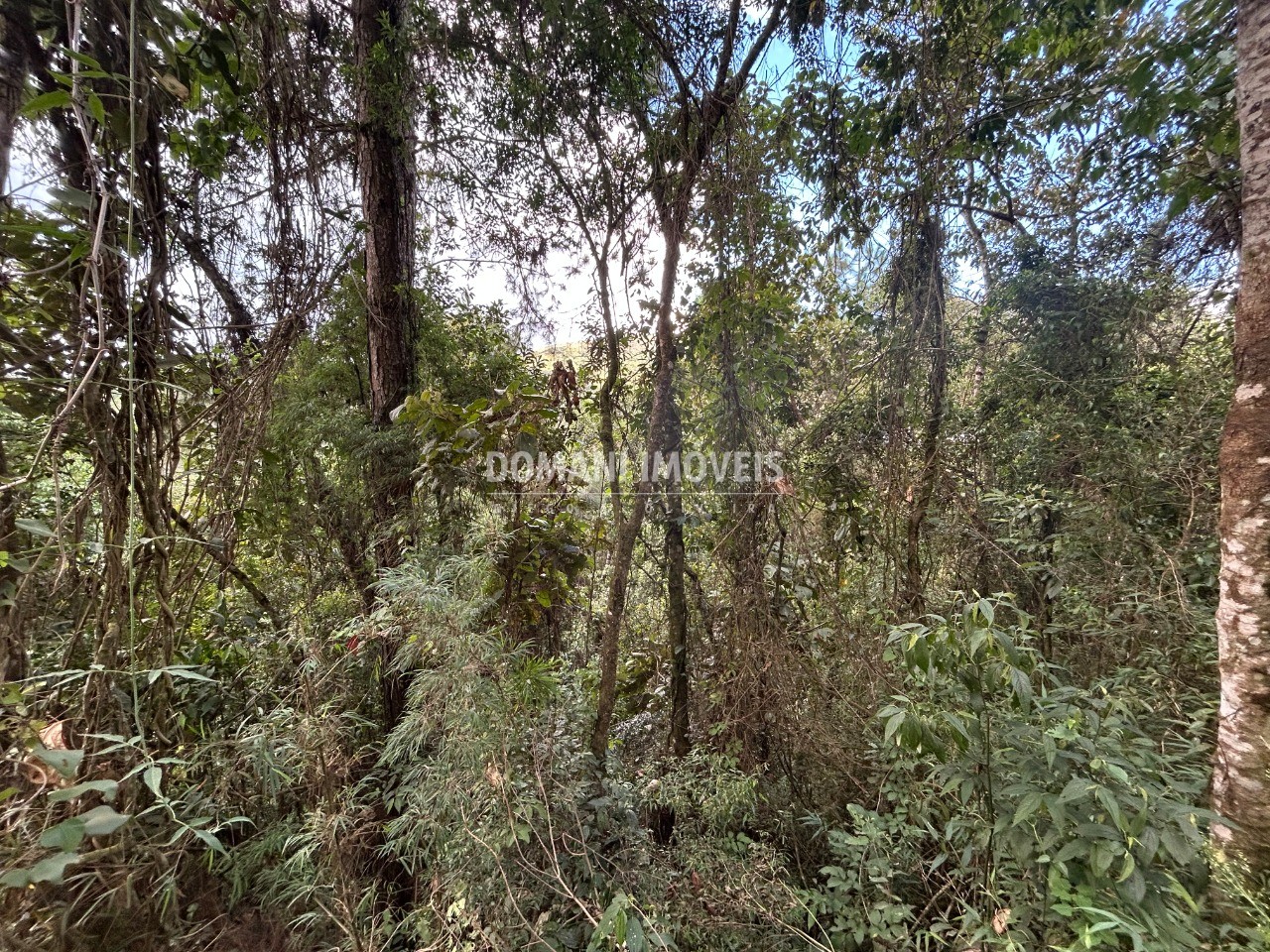 Terreno, 5820 m² - Foto 14