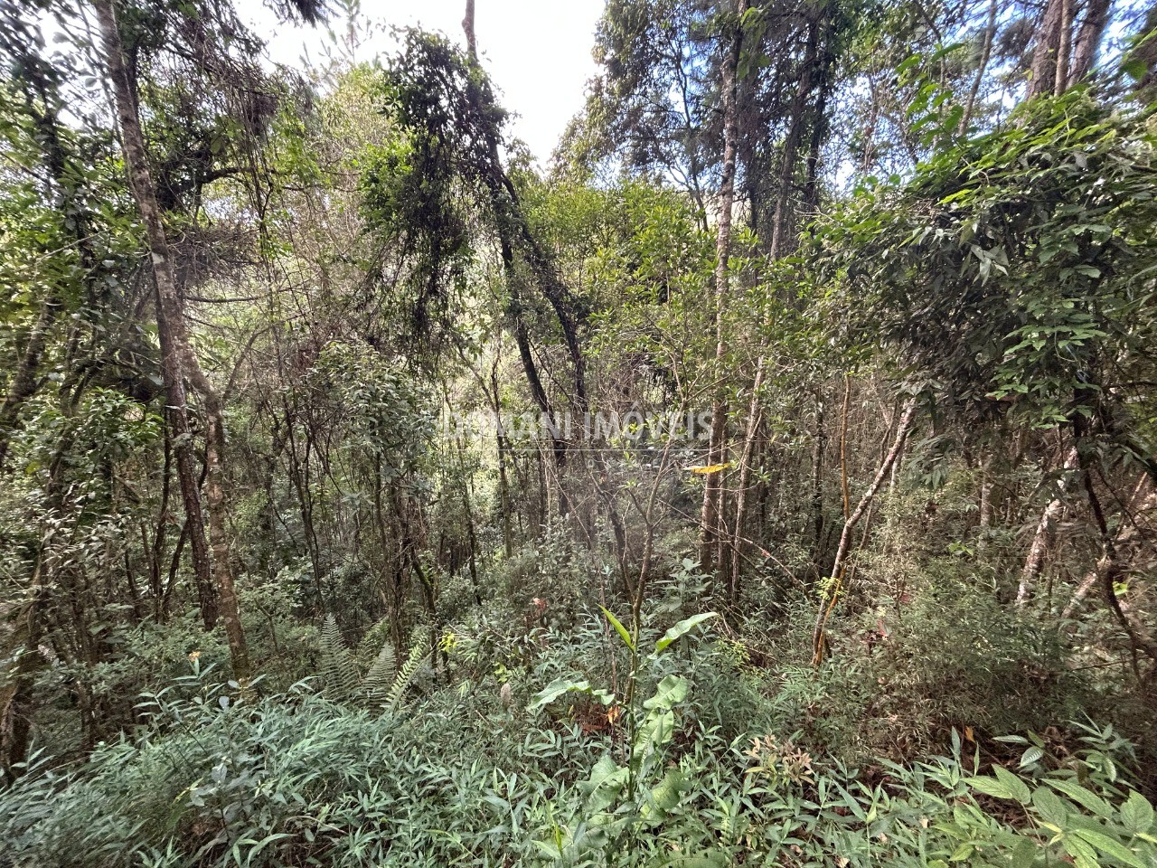 Terreno, 5820 m² - Foto 7