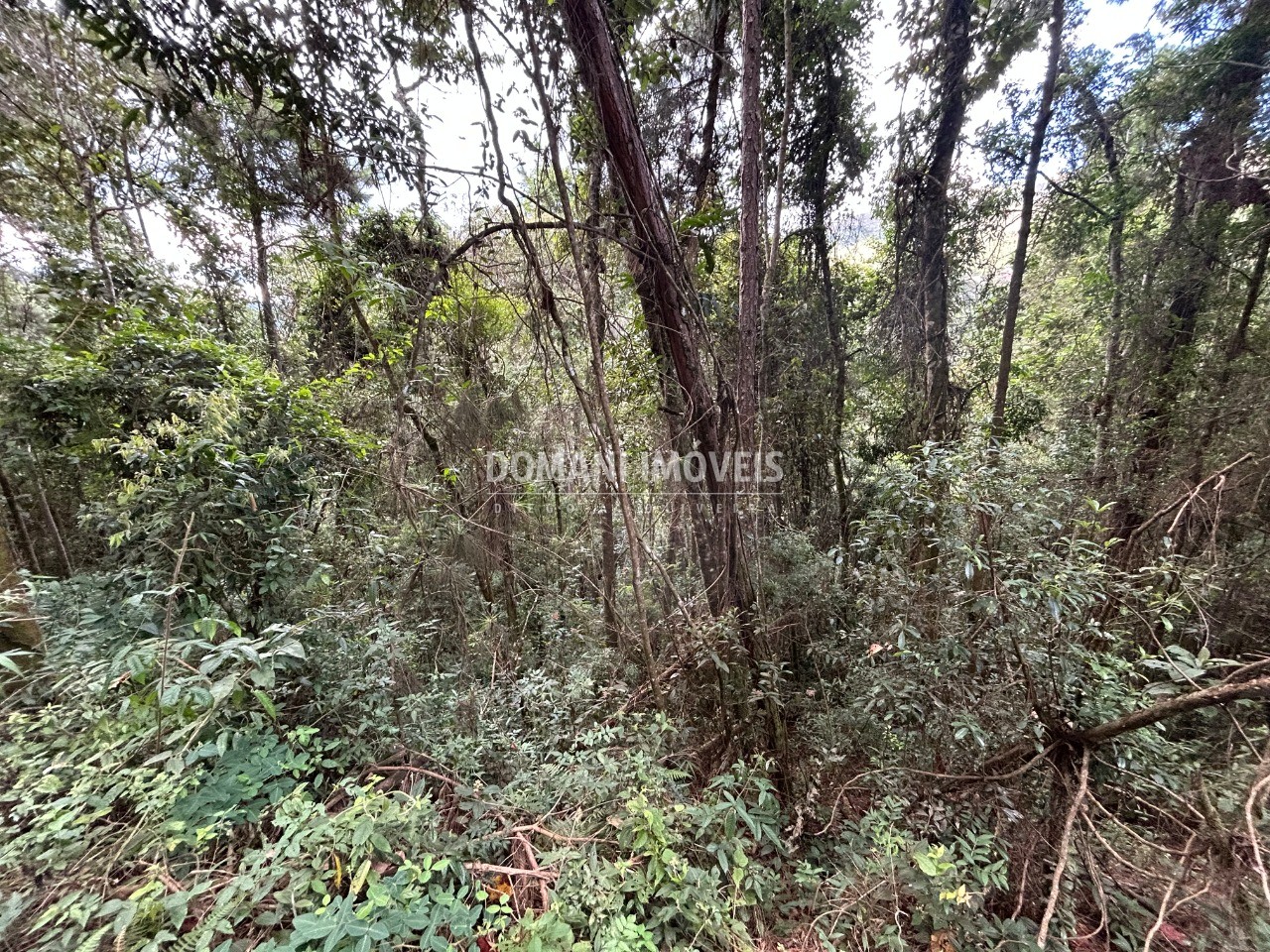 Terreno, 5820 m² - Foto 10