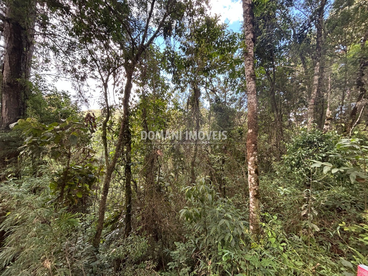 Terreno, 5820 m² - Foto 13
