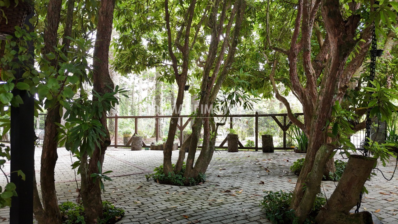 Casa, 3 quartos - Foto 65