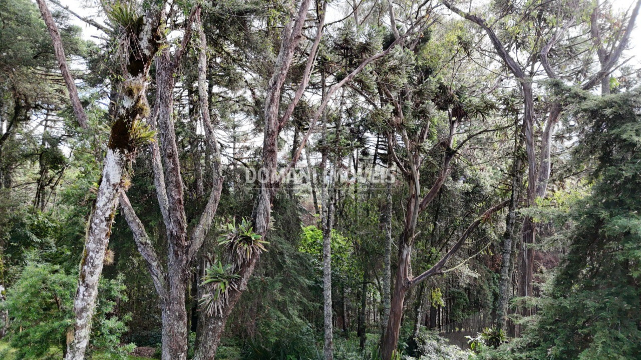 Casa, 3 quartos - Foto 101
