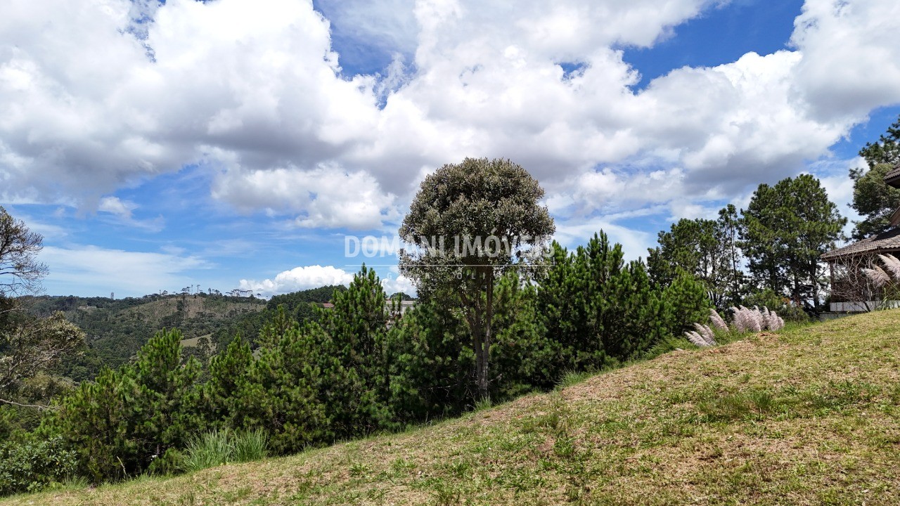 Terreno, 908 m² - Foto 5