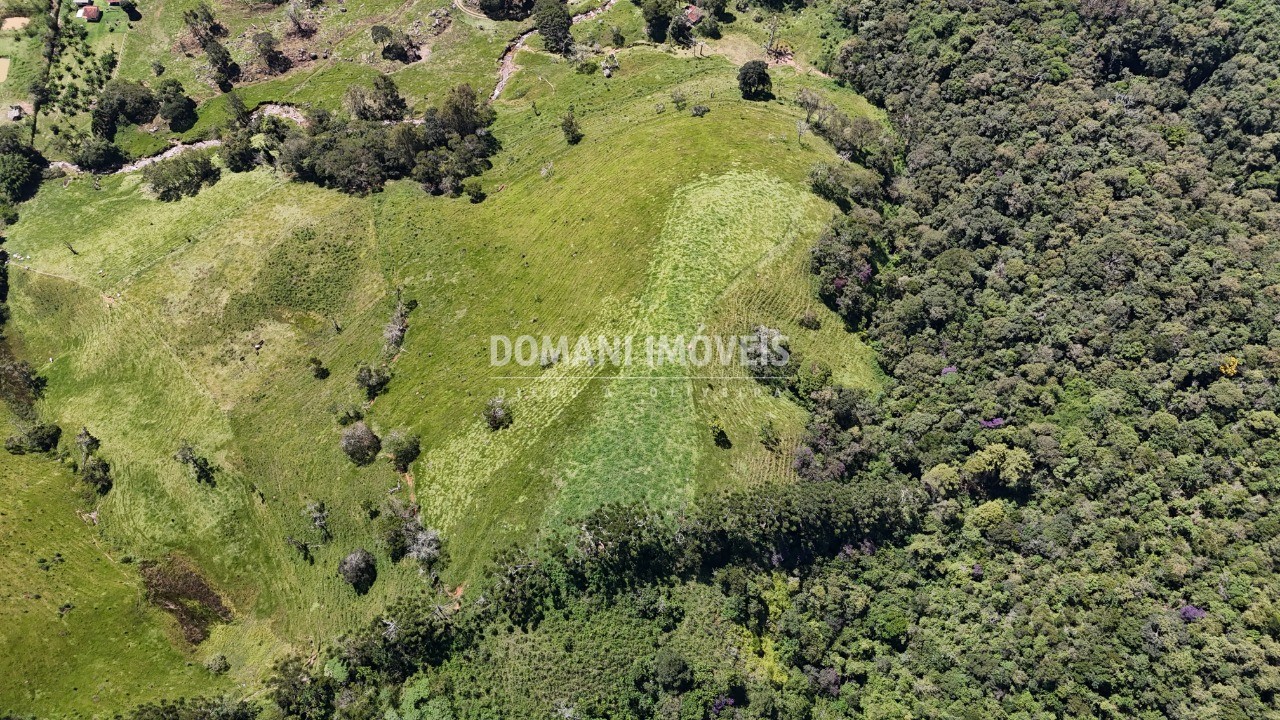 Fazenda - Foto 14