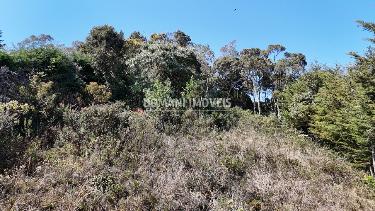 Terreno, 1010 m² - Foto 14