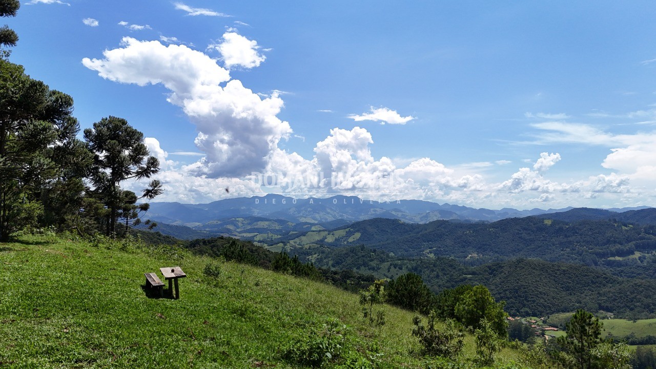 Fazenda - Foto 17