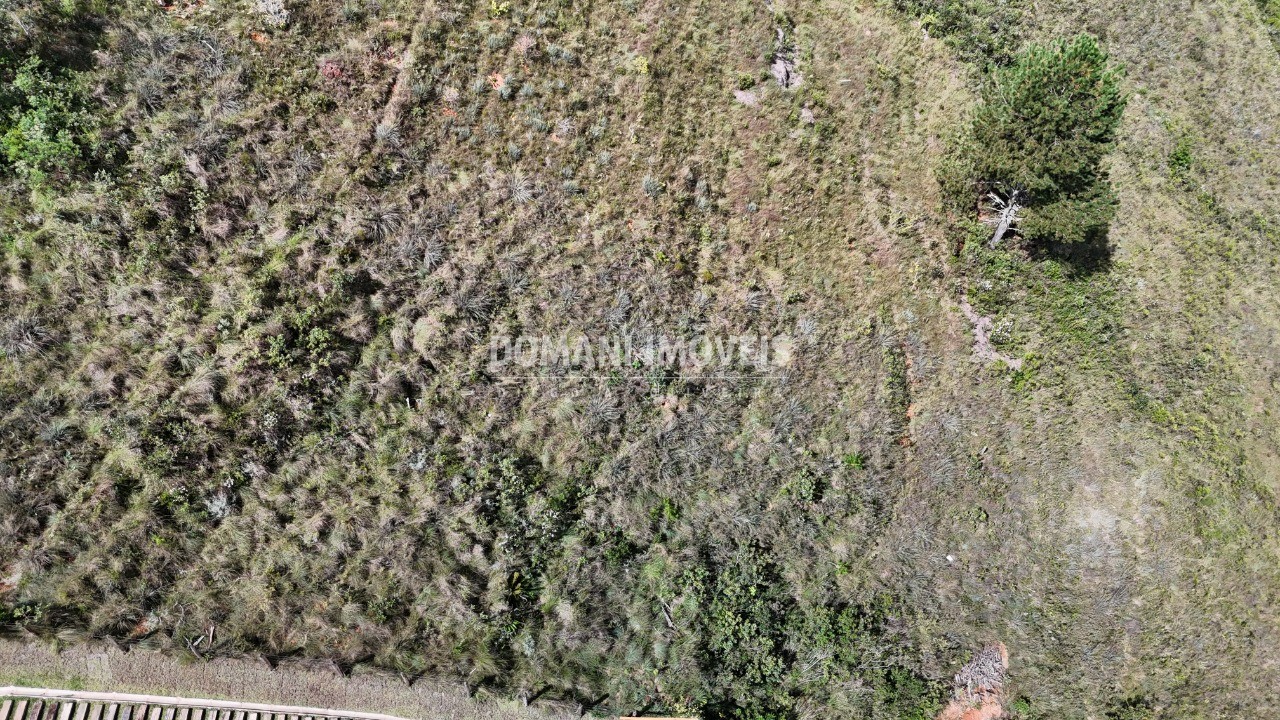 Terreno, 1020 m² - Foto 3