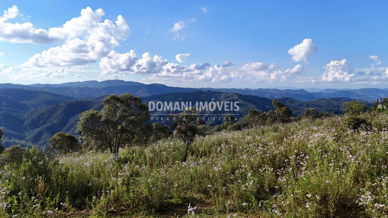 Terreno, 5240 m² - Foto 4