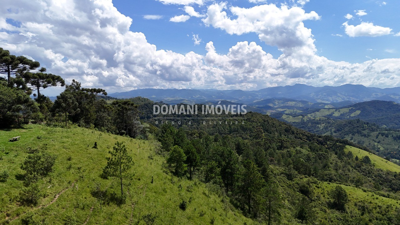 Fazenda - Foto 15