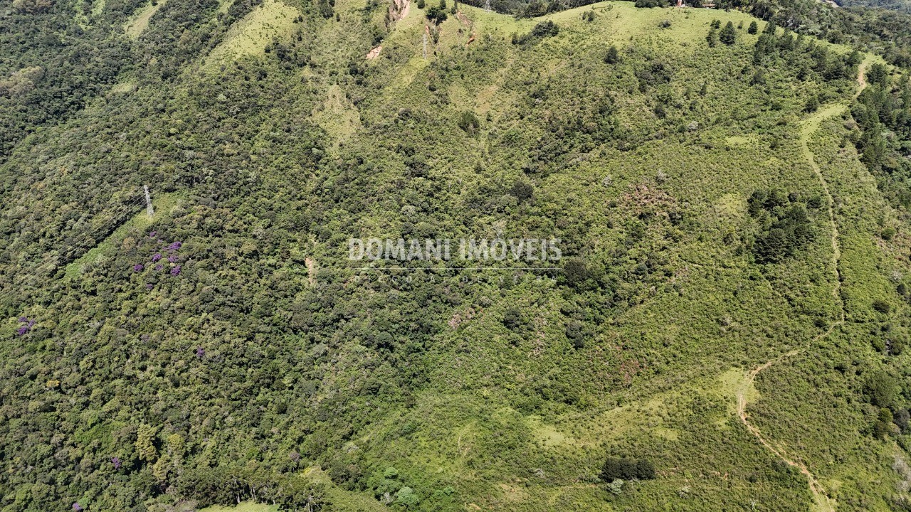 Fazenda - Foto 22
