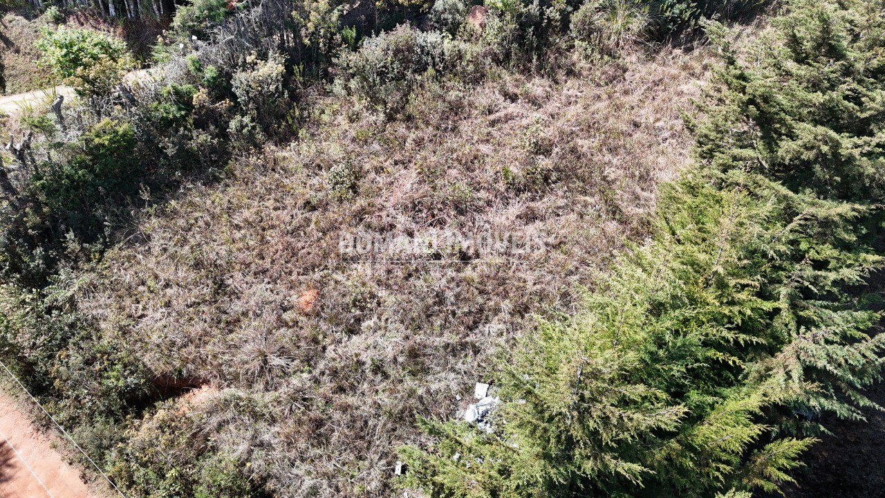 Terreno, 1010 m² - Foto 3
