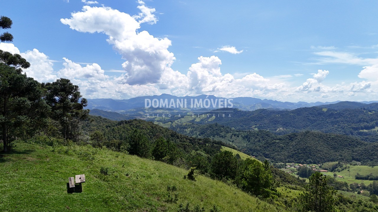 Fazenda - Foto 20