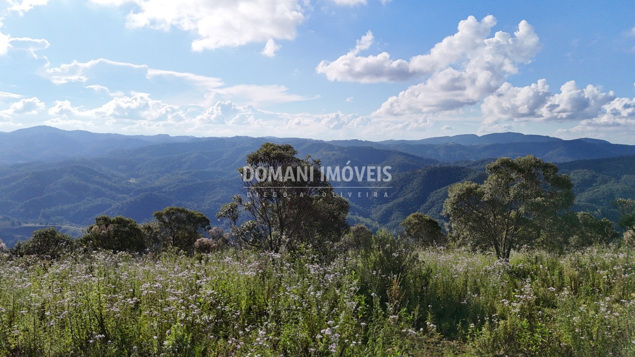 Terreno, 5240 m² - Foto 5