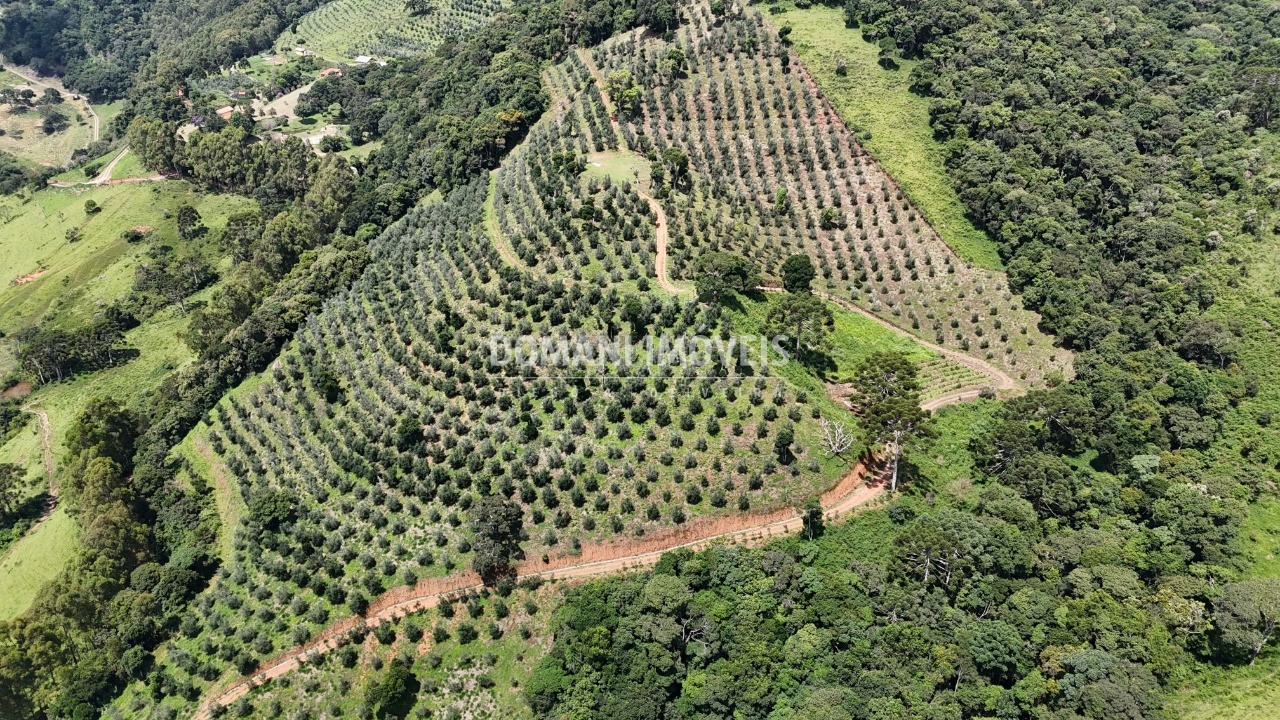 Fazenda, 6 quartos - Foto 73