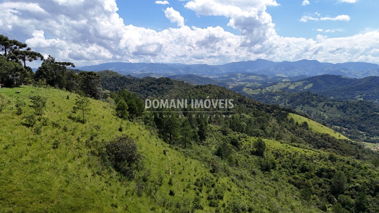 Fazenda - Foto 5