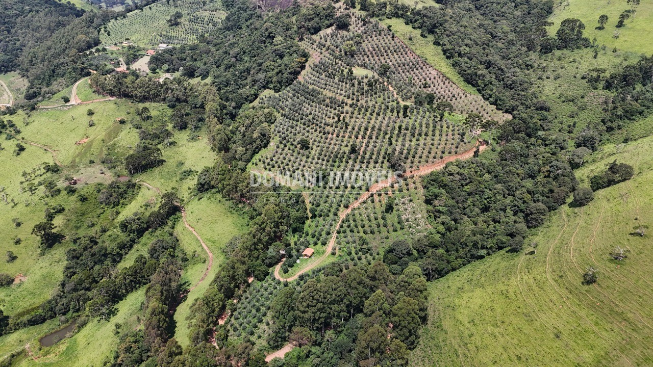 Fazenda, 6 quartos - Foto 52