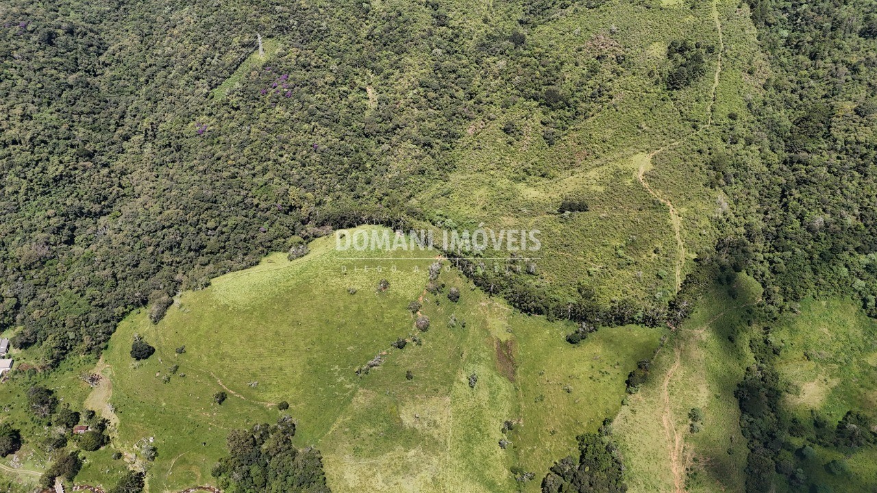 Fazenda - Foto 27