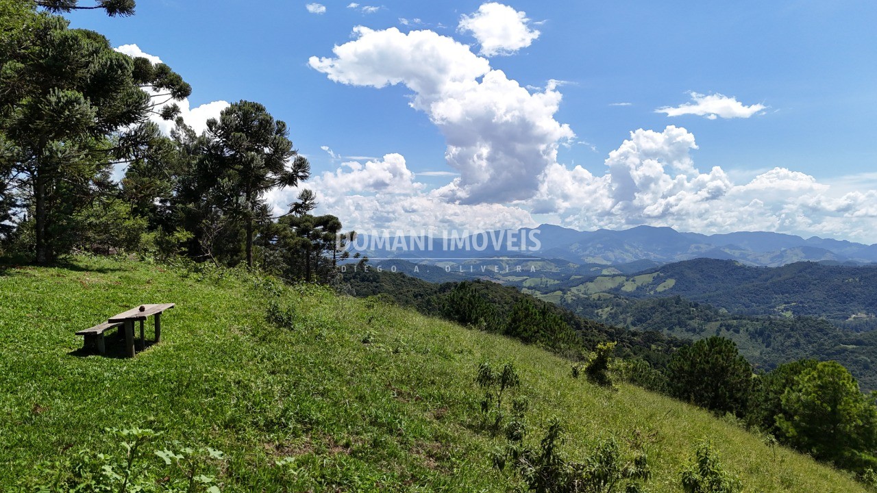 Fazenda - Foto 30