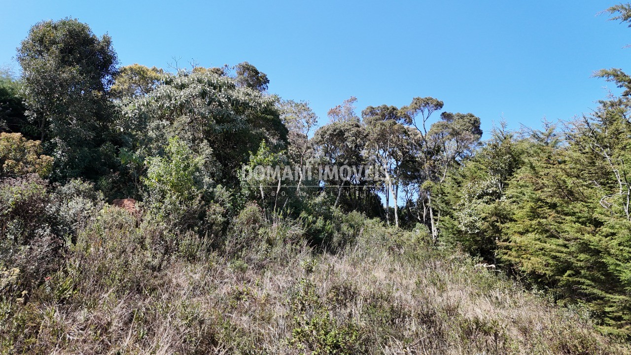 Terreno, 1010 m² - Foto 19
