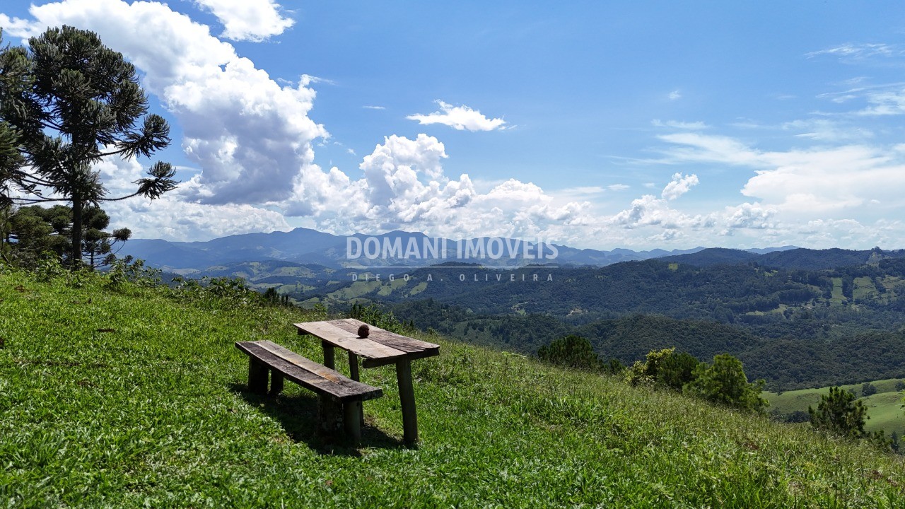 Fazenda - Foto 35