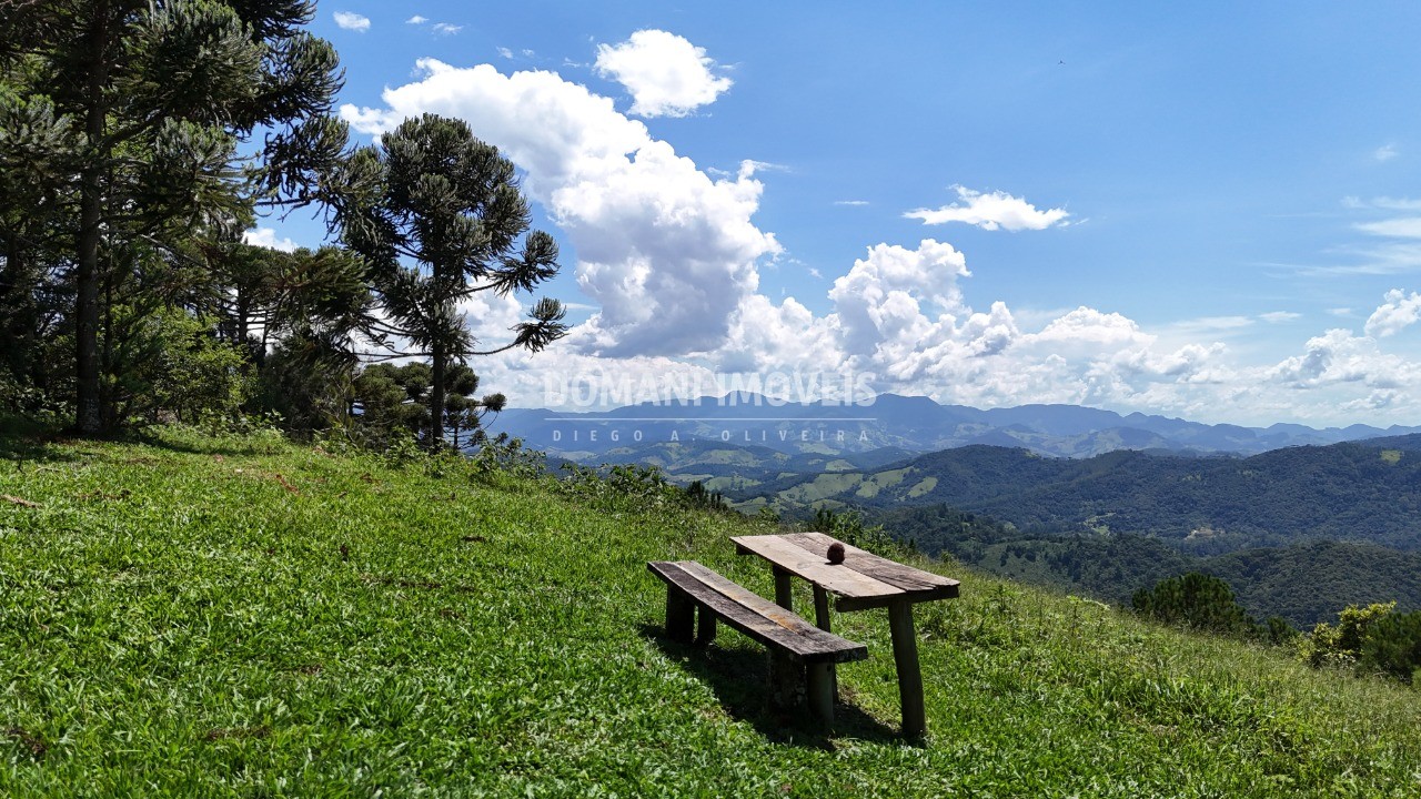 Fazenda - Foto 10