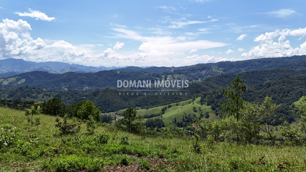 Fazenda - Foto 32