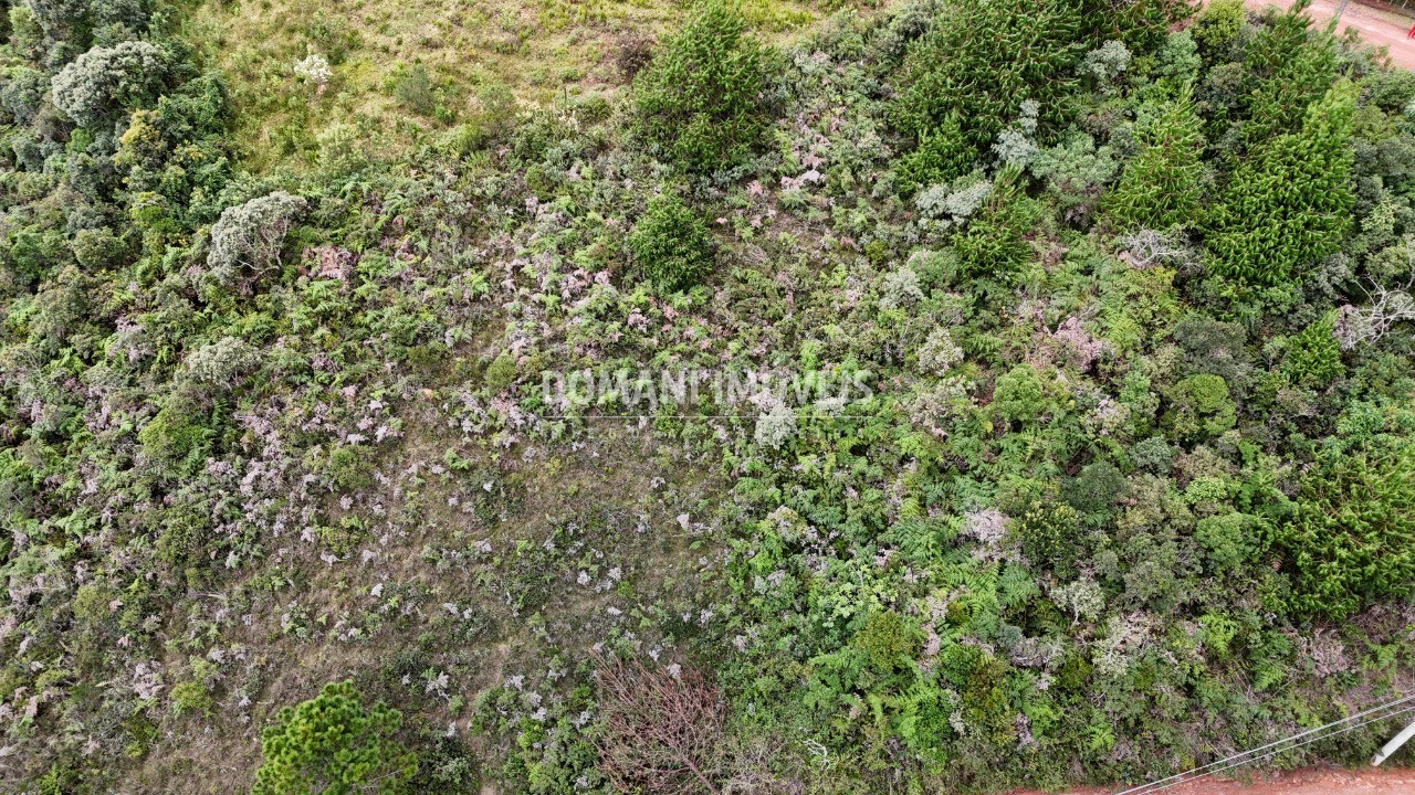 Terreno, 1000 m² - Foto 7