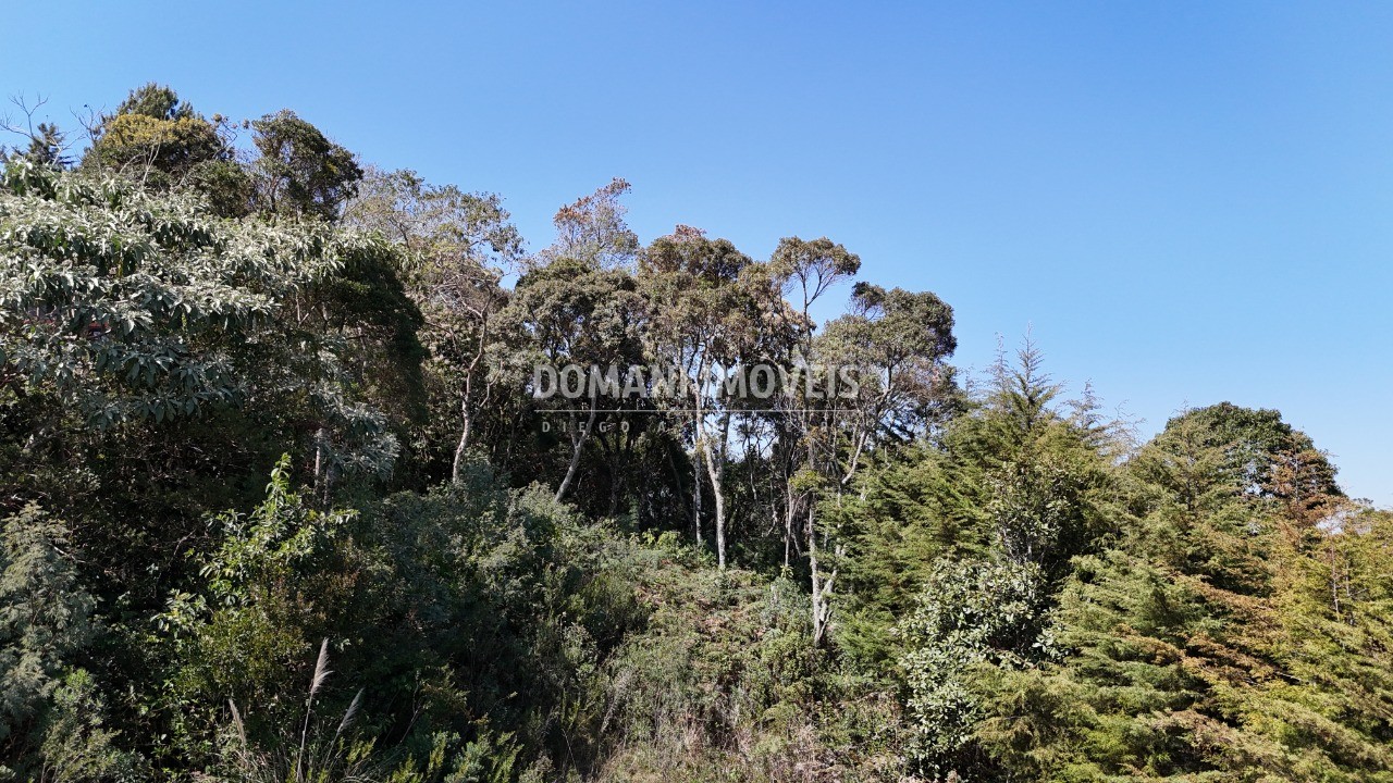 Terreno, 1010 m² - Foto 11