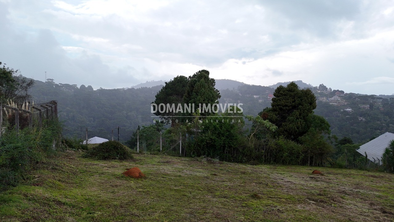 Terreno, 1130 m² - Foto 5