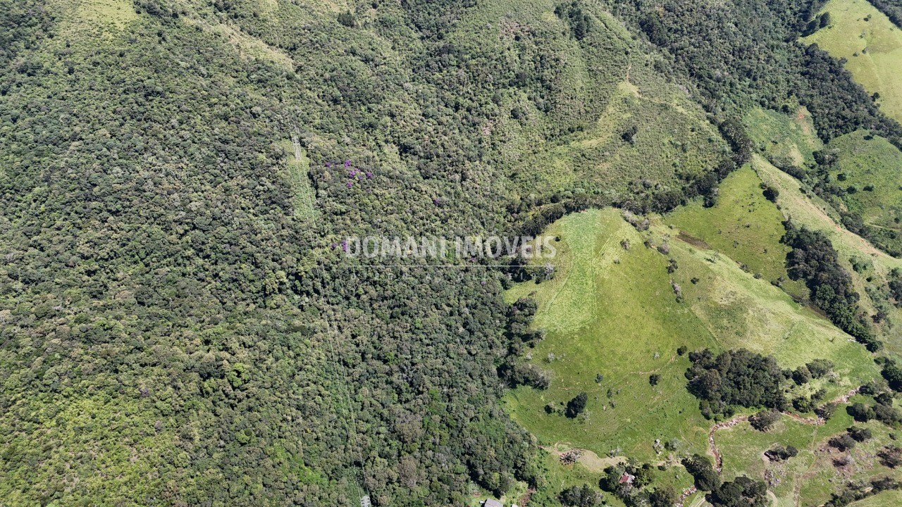 Fazenda - Foto 16