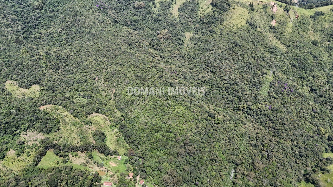 Fazenda - Foto 25