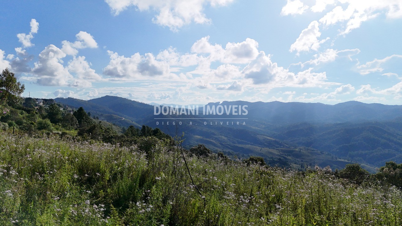Terreno, 5240 m² - Foto 6