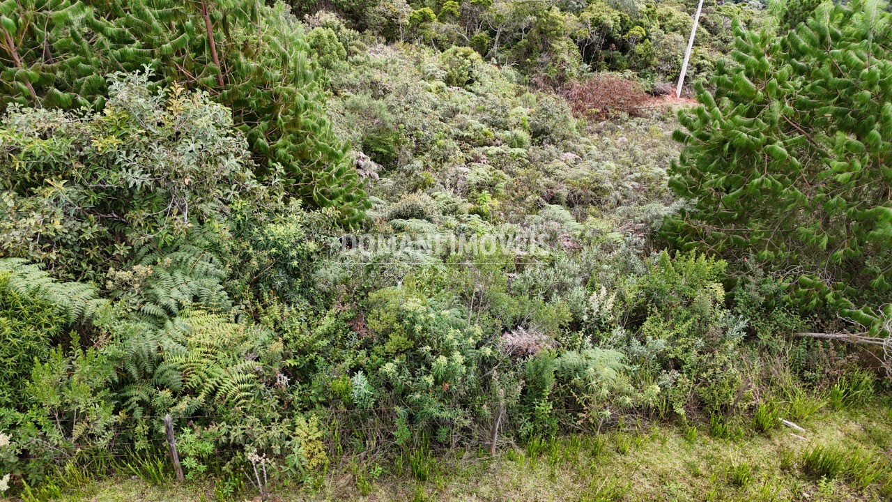 Terreno, 1000 m² - Foto 16