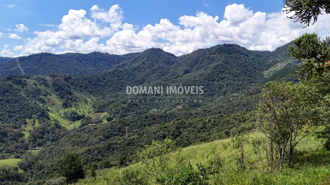 Fazenda - Foto 34