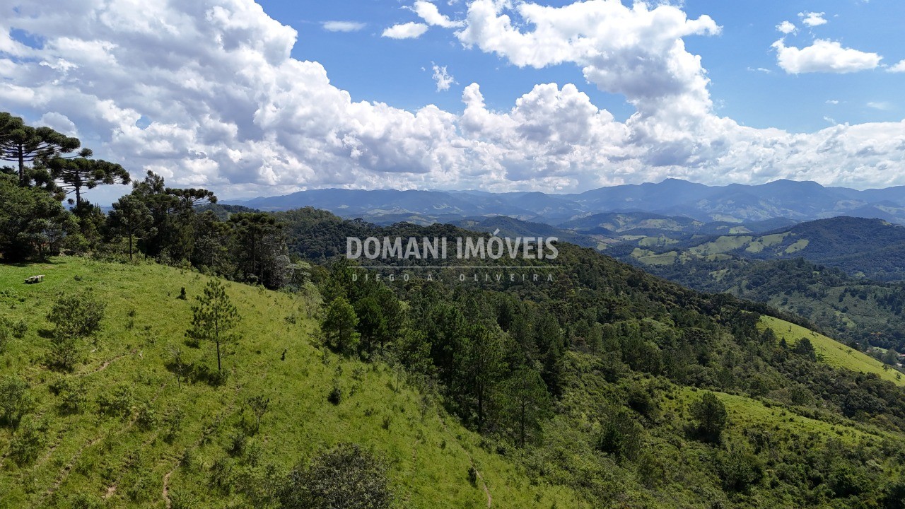 Fazenda - Foto 36