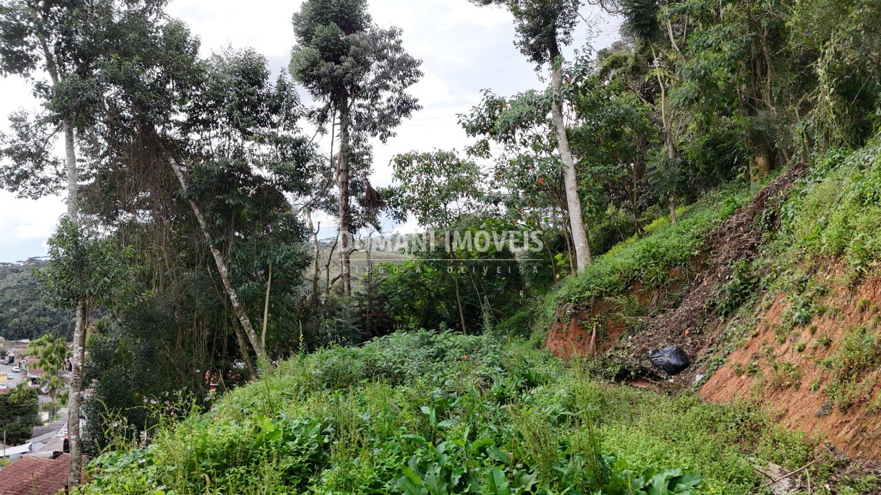 Terreno, 632 m² - Foto 9
