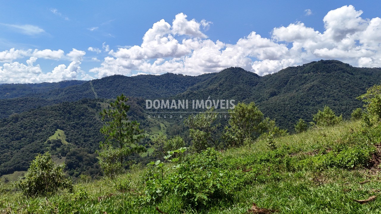 Fazenda - Foto 23