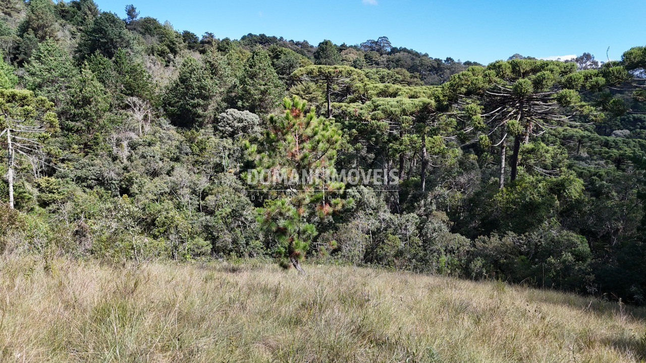 Terreno - Foto 10