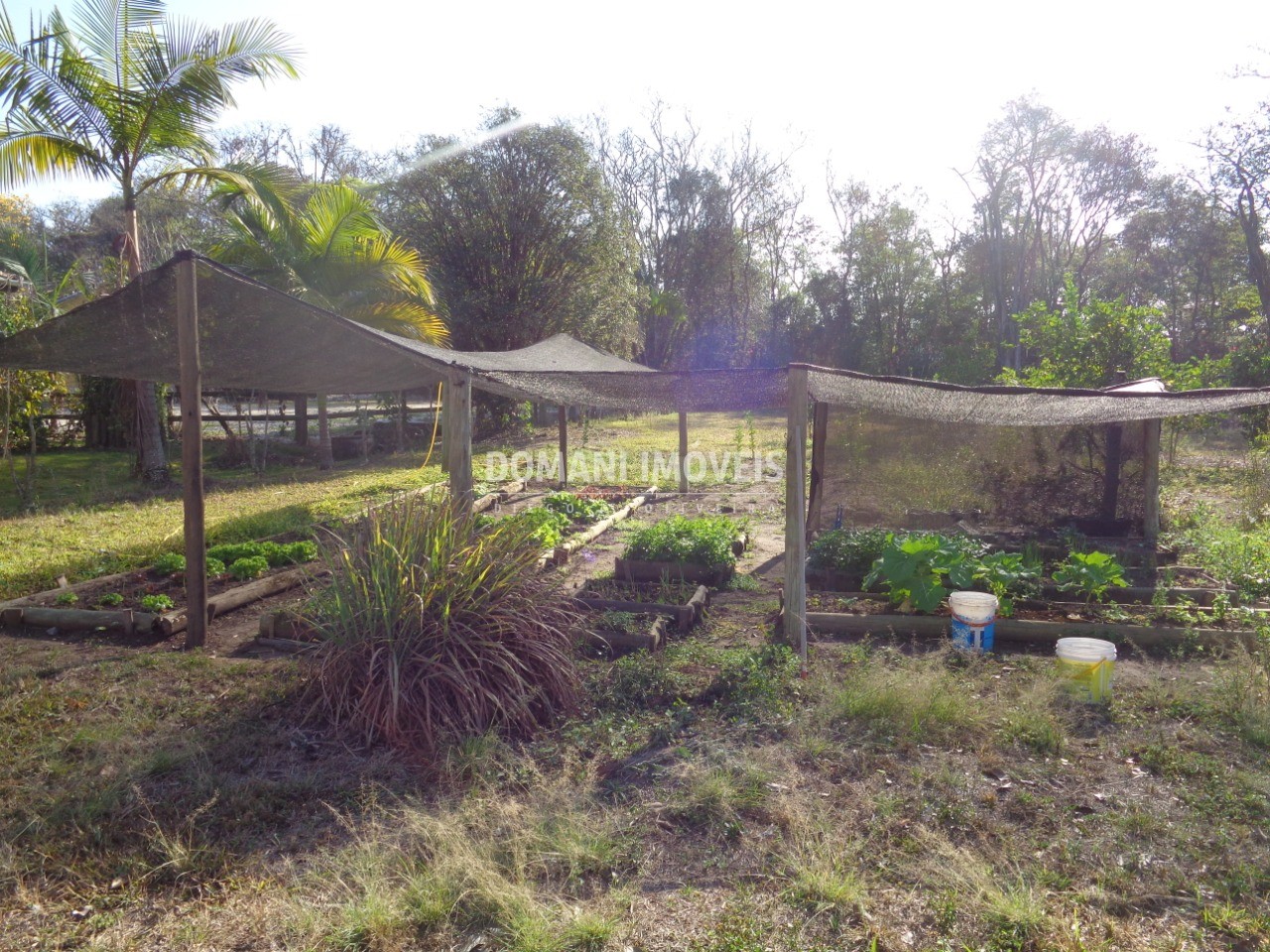 Imóvel Comercial - Foto 42