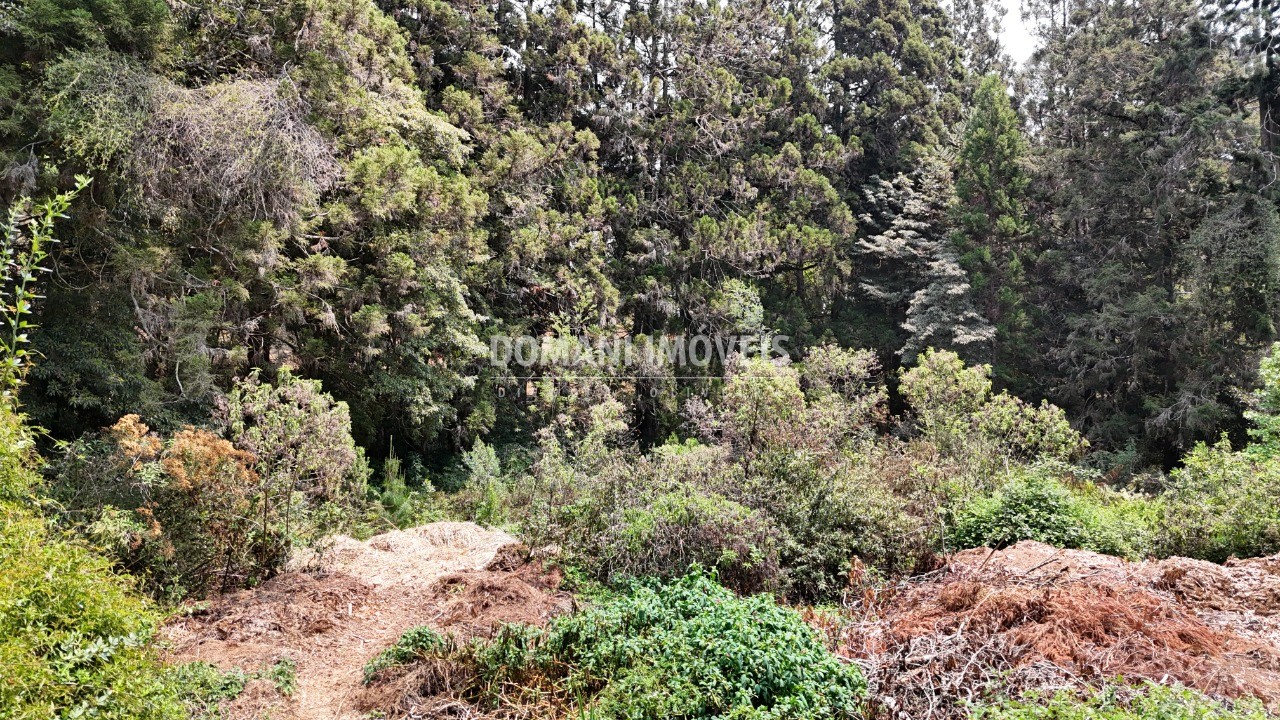 Terreno - Foto 7