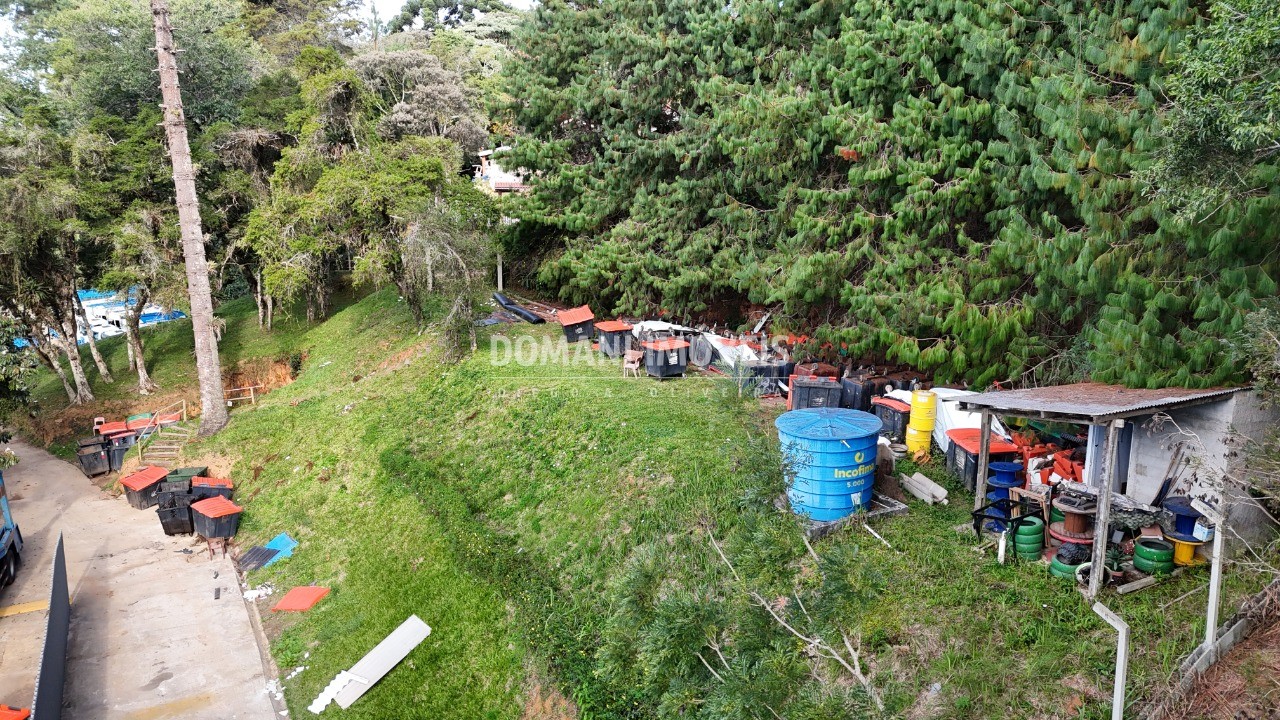 Imóvel Comercial - Foto 15